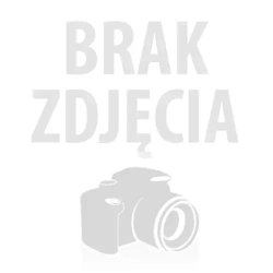 Wycofany z oferty Skórzane sandałki FASHION obcas tęg.G H srebro 40